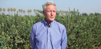 Pros and Cons of Conventional Farming Pros and Cons of Conventional Farming